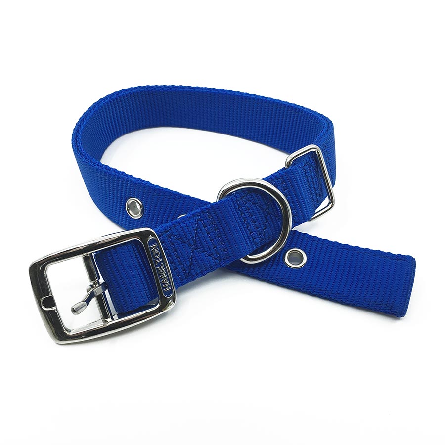 blue double thick nylon collar with stainless steel slide on style collar tag