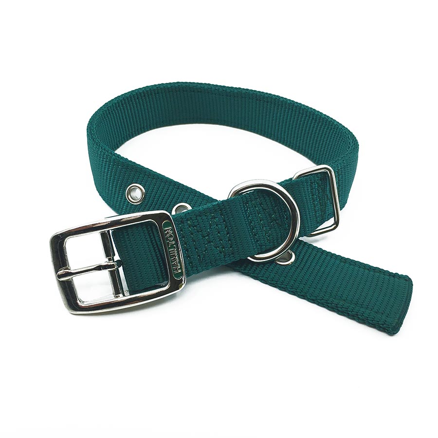 green double thick nylon collar belt buckle style collar tag