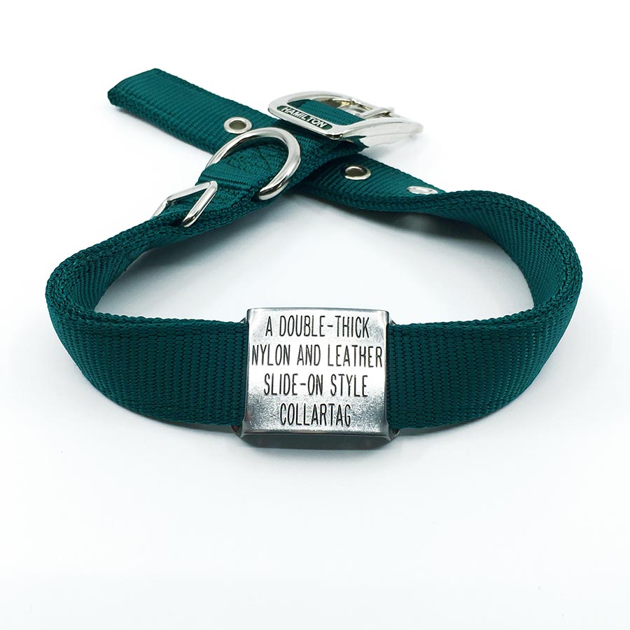 green double thick nylon collar with stainless steel slide on style collar tag