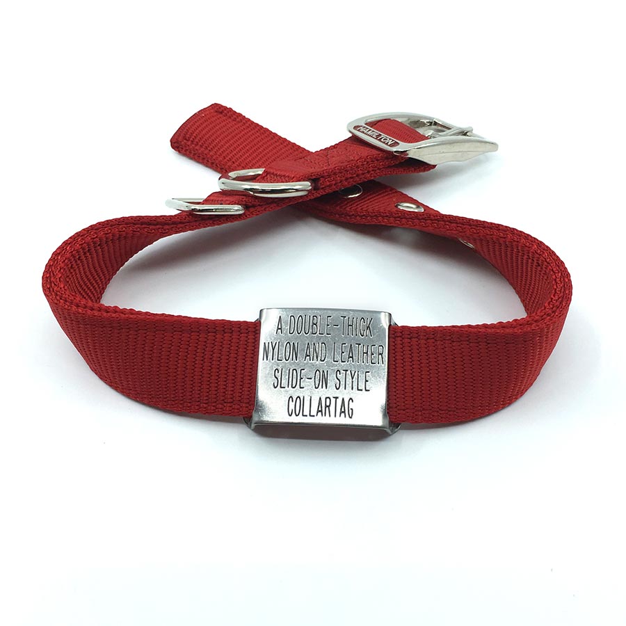 red double thick nylon collar with stainless steel slide on style collar tag