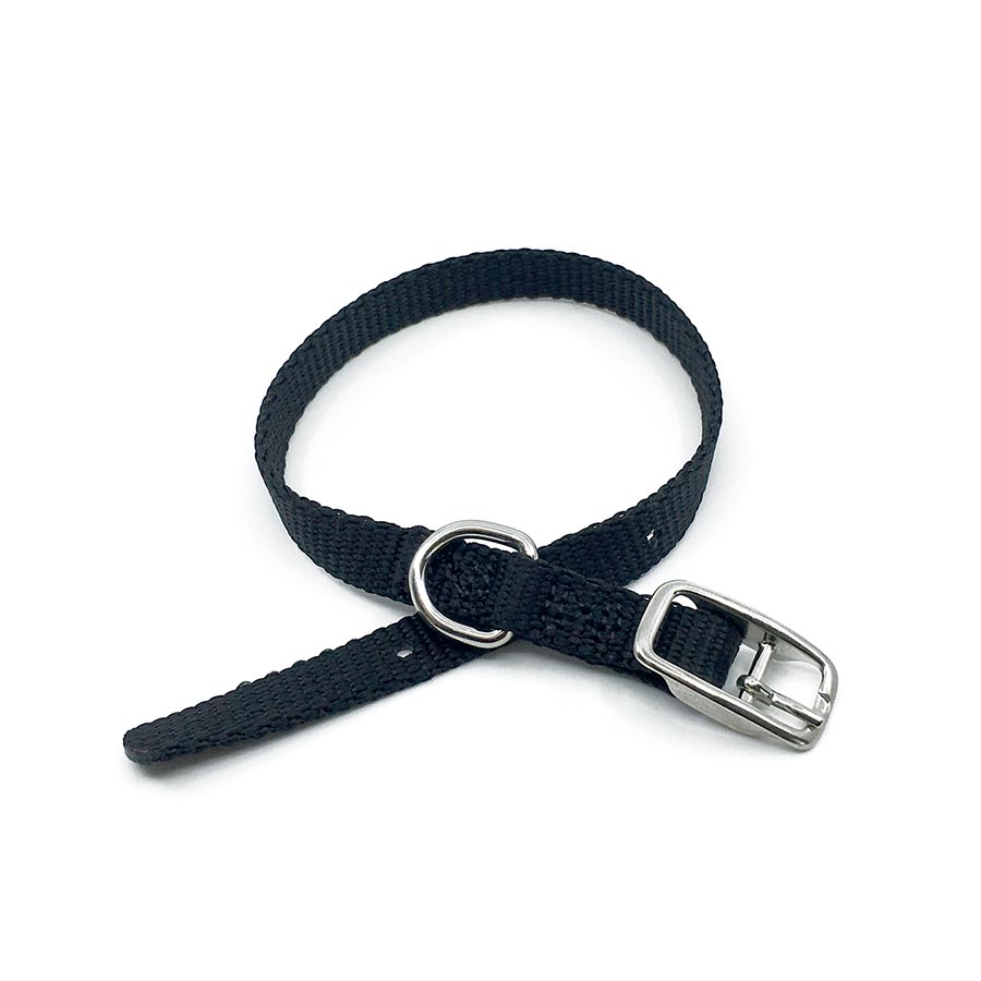 black mini collar belt buckle collar