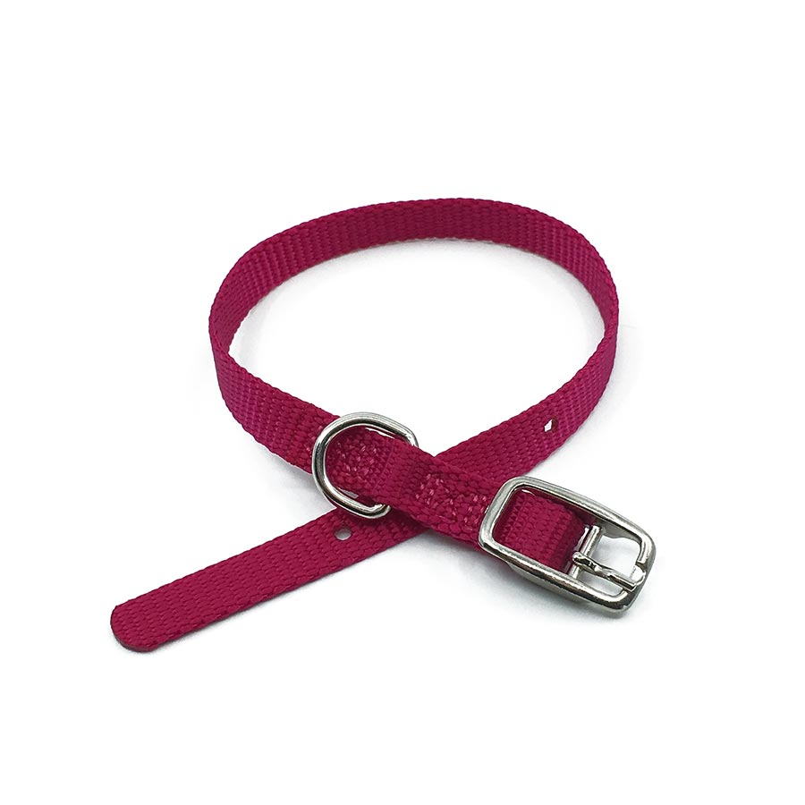 cranberry mini collar belt buckle collar