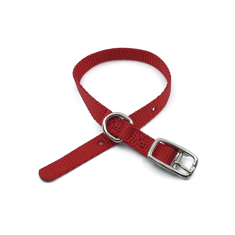 red mini collar belt buckle collar