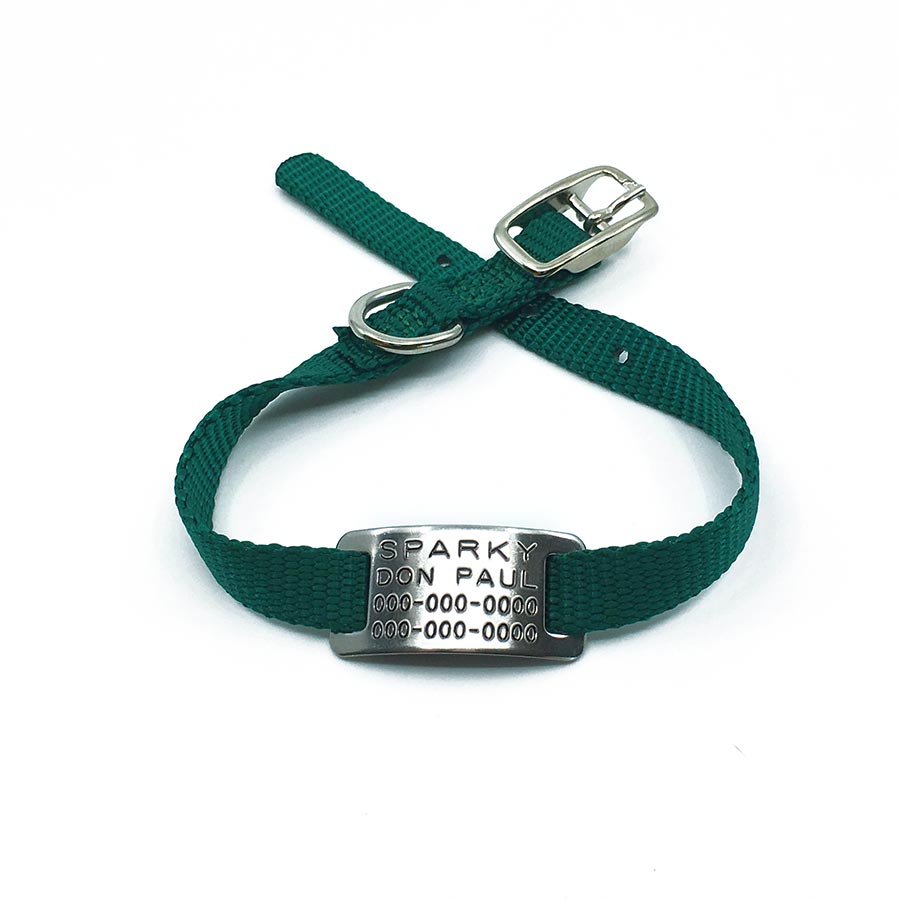 green pet collar with collar tag id for pets