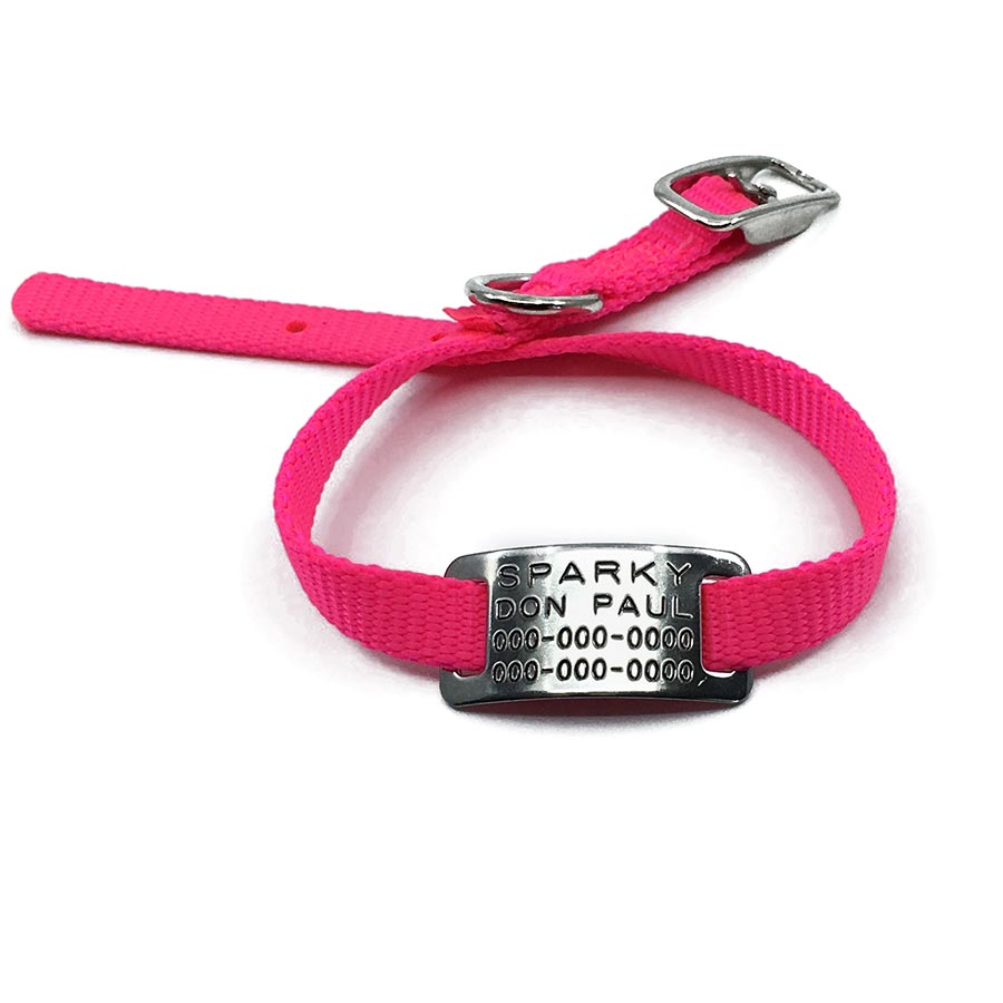 pink pet collar with collar tag id for pets