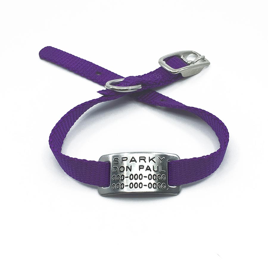 purple pet collar with collar tag id for pets