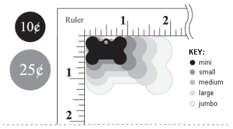 Bone shape size chart